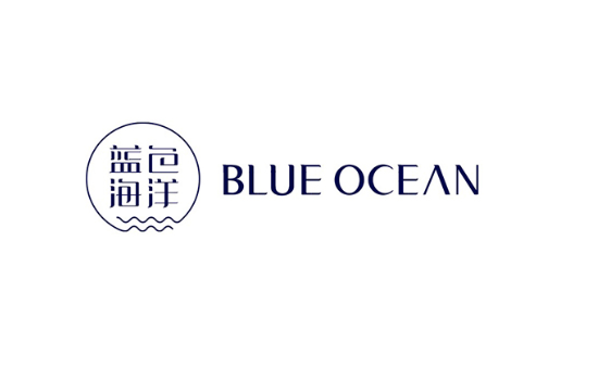 珠宝品牌策划设计案例分析,蓝色海洋珠宝品牌有限公司