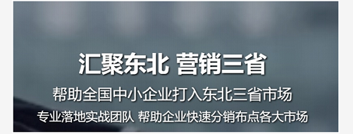 聚东企业营销策划,沈阳营销策划公司