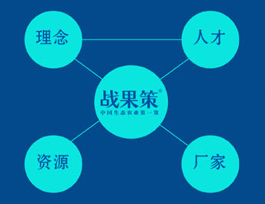 战果策广告策划,广州广告策划公司