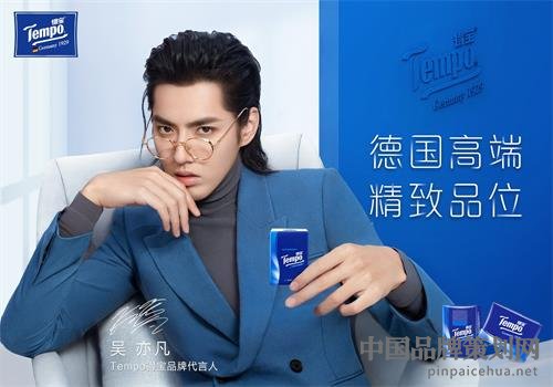 得宝纸巾营销战略案例分析